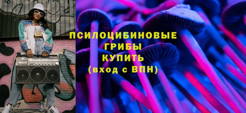 цена наркотик  Тайга  Галлюциногенные грибы MAGIC MUSHROOMS 